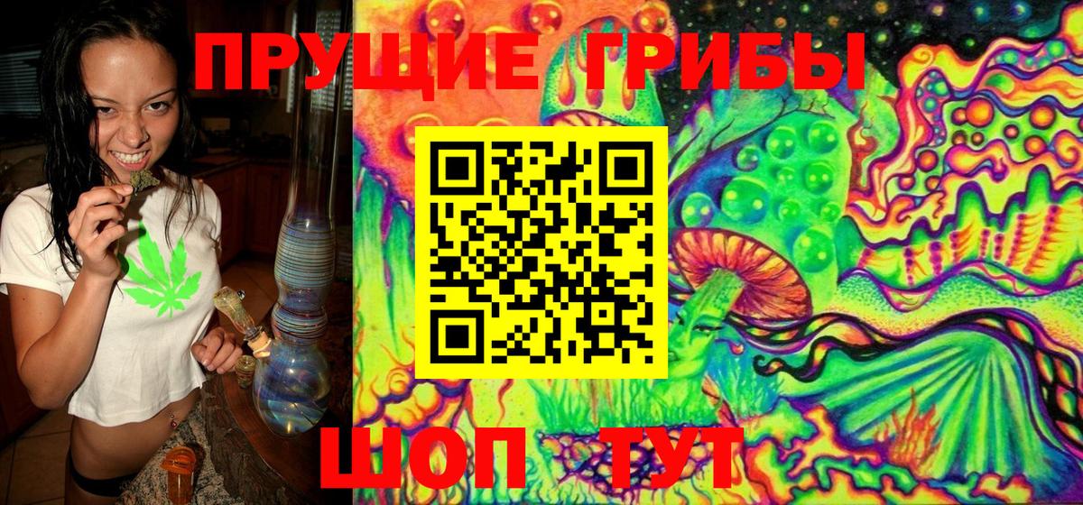 Галлюциногенные грибы Cubensis Лангепас