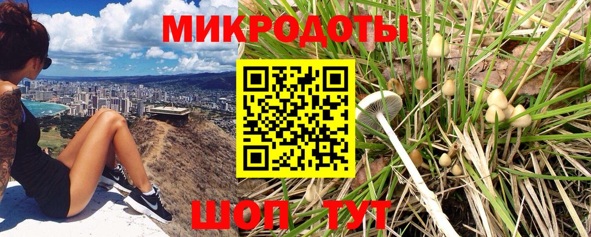 Галлюциногенные грибы Cubensis  Вход с VPN  Галлюциногенные грибы Psilocybine cubensis  Лангепас 